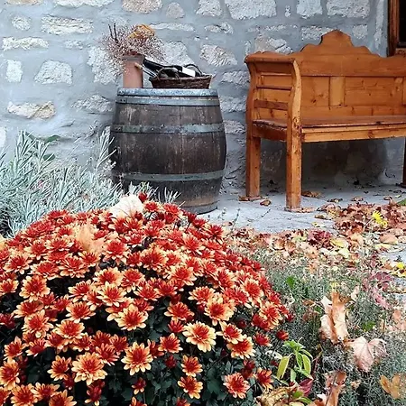 公寓 Karadi-berger Wine And Bike Erdőbénye