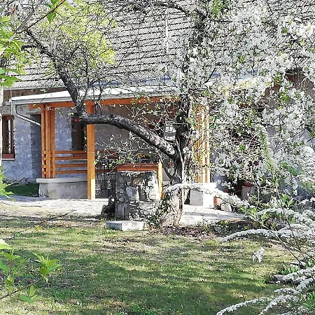 Appartement Karadi-Berger Wine And Bike Erdobenye Erdőbénye