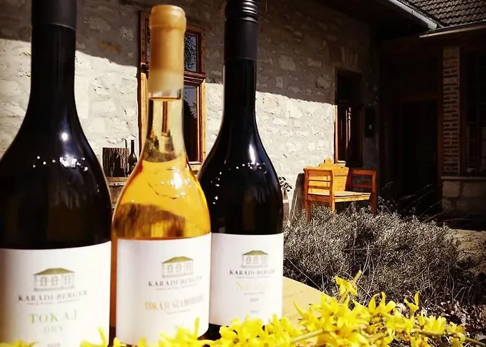 Daire Karadi-berger Vendeghaz *