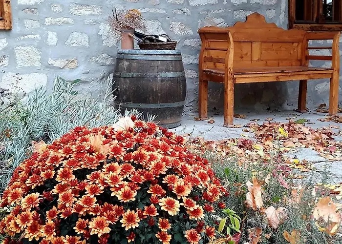 Daire Karadi-berger Vendeghaz Erdőbénye