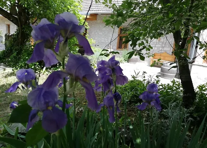 Daire Karadi-berger Vendeghaz Erdőbénye