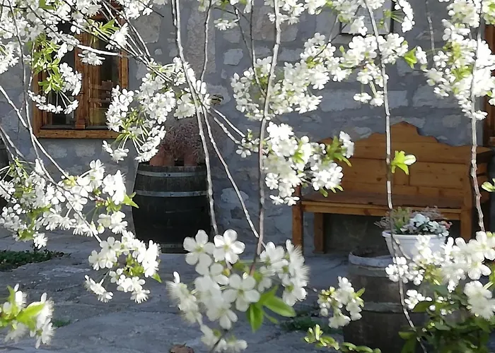 Karadi-berger Vendeghaz Erdőbénye