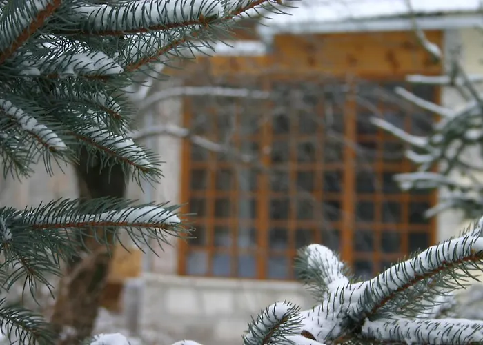 Karadi-berger Vendeghaz *